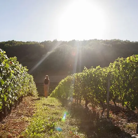 Og Le Puech Hotel Narbona